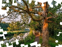 Kanał, Rzeka, Ścieżka, Most, Lato, Delft, Holandia, Drzew