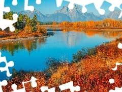 Trawa, Rzeka, Góry, Stan Wyoming, Teton Range, Park Narodow