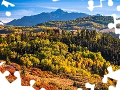 Góry, Stany Zjednoczone, Góra, San Juan Mountains, Las, Dr