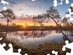 Bagno, Rezerwat przyrody, Drzewa, Pohja-Korvemaa, Estonia, Torfowisko, Wschód słońca