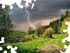 Las, Piorun, Drzewa, Błyskawica, Burza, Ścieżka, Wiosna