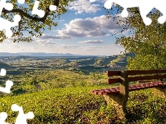Ławka, Pola, Niemcy, Winnice, Vogtsburg, Drzewo, Łąka, Ka