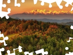 Wschód słońca, Polska, Góry, Tatry, Las