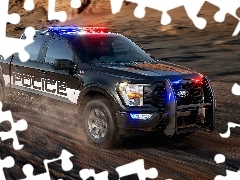 2021, Ford F-150, Policyjny