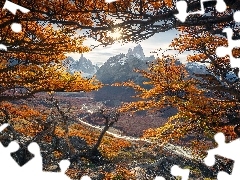 Gałęzie, Patagonia, Jesień, Rzeka Rio de las Vueltas, Gó