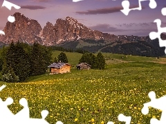 Domy, Drewniane, Łąka, Val Gardena, Dolina, Kwiaty, Chmury, Dolomity, Włochy, Drzewa, Płaskowyż Seiser Alm, Góry Sassolungo