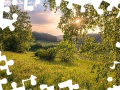 Promienie słońca, Łąka, Krzewy, Lato, Wzgórza, Drzewa