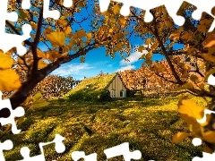Murawa, Hof, Gałęzie, Kościół Hofskirkja, Islandia, Drzewa, Jesień