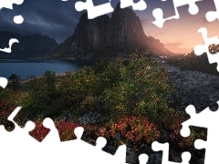 Lofoty, Norwegia, Wioska Reine, Morze Norweskie, Drzewa, Chm