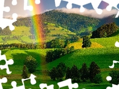 Góry, Tęcza, Drzewa, Lato, Wzgórza, Las