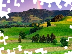 Drzewa, Tęcza, Wzgórza, Pola, Góry, Las