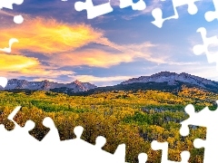 Przełęcz, Kebler Pass, Lasy, Góry, Drzewa, Kolorado, Stan
