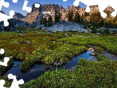 Łąka, Trawa, Stany Zjednoczone, Skały, Kalifornia, Sierra