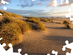 Plaża, Kępy, Trawa, Piasek