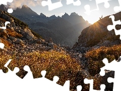 Kamienie, Trawa, Dzień, Dwie, Słoneczny, Tatry, Góry, Kozice tatrzańskie