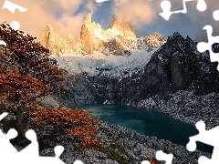 Góry, Szczyt, Chmury, Fitz Roy, Drzewo, Patagonia, Argentyn