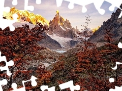 Jesień, Drzewa, Park Narodowy Los Glaciares, Argentyna, Gó