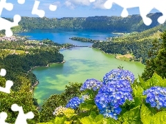 Sete Cidades, Hortensje, Jezioro Verde, Azory, Góry, Niebie