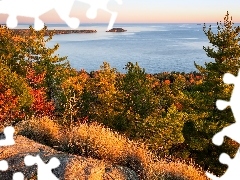 Superior Lake, Jezioro, Skała, Trawa, Michigan, Stany Zjedn