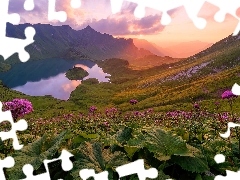 Alpy, Bawaria, Dolina, Góry, Niemcy, Jezioro Schrecksee, Kwiaty