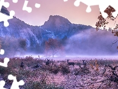 Park Narodowy Yosemite, Góry, Sarny, Jesień, Drzewa, Kalifornia, Stany Zjednoczone, Mgła