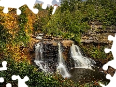 Park stanowy Blackwater Falls, Rzeka, Drzewa, Wodospad, Ska