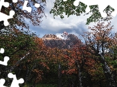 Fitz Roy, Patagonia, Drzewa, Góra, Argentyna, Jesień, Chmu