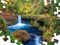 Rezerwat przyrody, Rzeka, Columbia River Gorge, Drzewa, Oreg