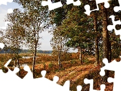 Jesień, Drzewa, Jezioro, Ścieżka