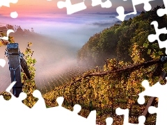 Słupek, Wzgórza, Styria, Winnice, Wschód słońca, Mgła, Austria