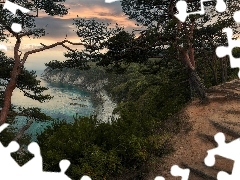 Vityaz Bay, Półwysep Gamow, Drzewa, Skały, Ścieżka, Ros