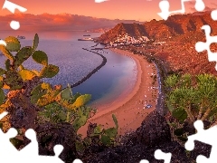Kaktusy, Playa de Las Teresitas, Teneryfa, Góry, Plaża, Wyspy Kanaryjskie, Hiszpania