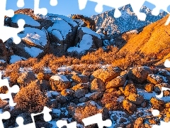 Krzewy, Góry, Stany Zjednoczone, Alabama Hills, Kalifornia,