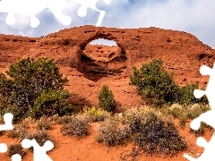 Arizona, Stany Zjednoczone, Dolina, Monument Valley, Drzewa,