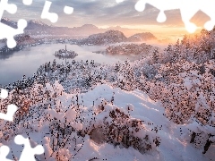 Ośnieżone, Śnieg, Słowenia, Krzewy, Jezioro Bled, Zima,