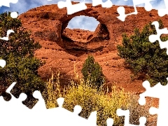 Arizona, Stany Zjednoczone, Dolina, Monument Valley, Drzewa,