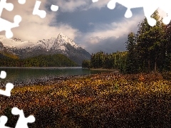 Drzewa, Canadian Rockies, Alberta, Jesień, Góry, Jezioro, 