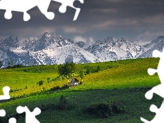 Gmina Łapsze Niżne, Polska, Kacwin, Ośnieżone, Drzewa, Kaplica Matki Bożej Śnieżnej, Tatry, Pola, Góry