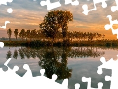 Jezioro, Odbicie, Odzwierciedlenie, Drzewa