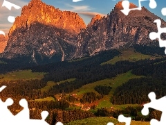 Lasy, Włochy, Góry Sassolungo, Drzewa, Dolomity