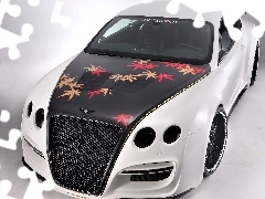 Tuning, Bentley Continental