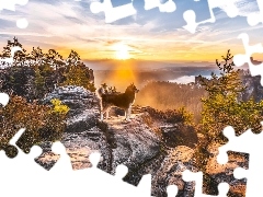 Promienie słońca, Drzewa, Skały, Góry, Pies