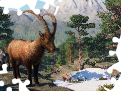 Planet Zoo, Koziorożec alpejski, Gra