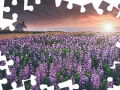 Kościół Strandarkirkja, Łąka, Selvogur, Islandia, Zachód słońca, Łubiny