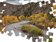 Gunnison River, Pożółkłe, Stany Zjednoczone, Drzewa, Kol