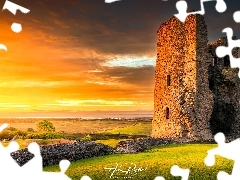 Chmury, Drzewa, Hadleigh, Hadleigh Castle, Zamek, Essex, Trawa, Łąka, Anglia, Ruiny, Wschód słońca, Niebo