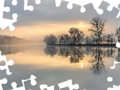 Wschód słońca, Niemcy, Rzeka Mozela, Drzewa, Mgła