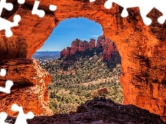 Czerwone, Arizona, Krzewy, Sedona, Stany Zjednoczone, Skały