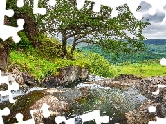 Rzeka, Park Narodowy Snowdonia, Skały, Walia, Drzewa, Góry
