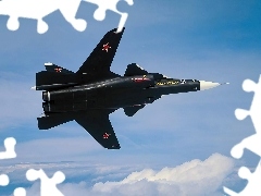Suchoj SU-47 Berkut, Skrzydła